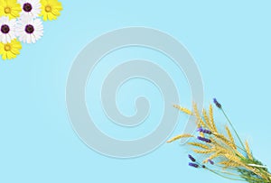 A spring greeting card in shades of yellow and white on an optimistic blue background for Shavuot