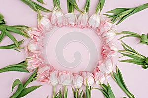 Spring greeting card template of fresh flowers of pink tulips for Mother`s Day, Birthday, Easter