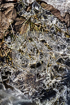 Spring ground covered with thawing snow