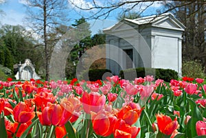 Spring Grove Cemetery