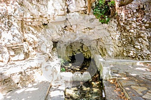 spring gushing water in a village