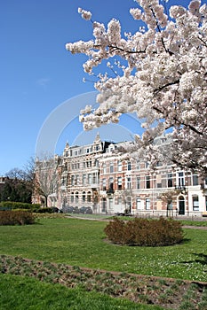 Spring in The Hague