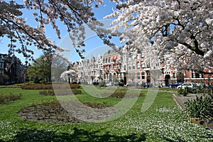 Spring in The Hague