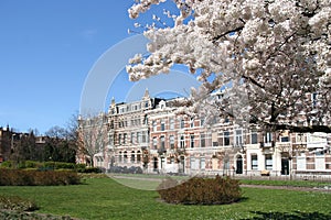 Spring in The Hague