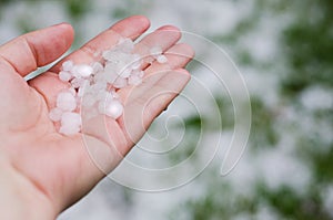 Spring hail in the girl`s hand