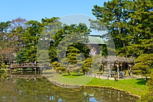 Spring in the Hakusan Park, Niigata, Japan