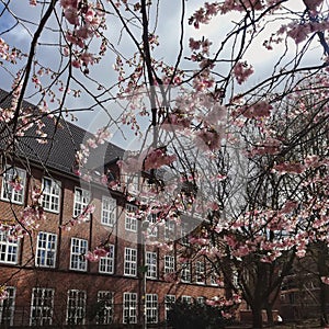 Spring in Hamburg
