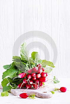 Spring harvest red radish on light background. Bunch of fresh french breakfast radish.