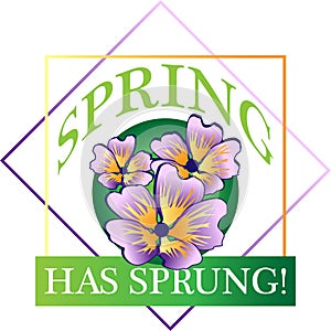 Spring has Sprung! photo