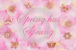 Spring has Sprung message with a pink rose flower petals