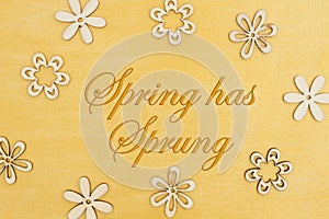 Spring has Sprung message with wood flower petals on hand painted distressed gold photo