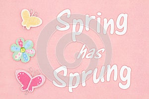 Spring has Sprung type message with a clock and butterflies and flower