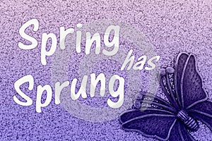 Spring has Sprung word message with metal butterfly