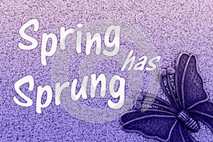 Spring has Sprung word message with metal butterfly photo