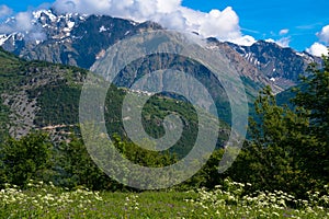 Spring in the heights of the alps in France