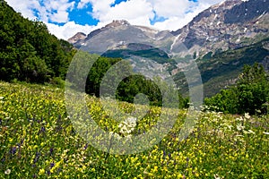 Spring in the heights of the alps in France