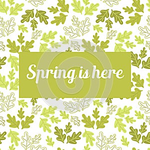 Spring is here . Doodle hand drawing green oak leaves on white background