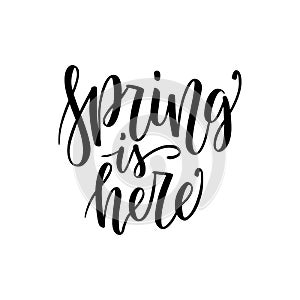 Spring is Here - Hand drawn inspiration quote isolated on white. typography design element. Spring lettering poster