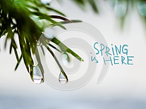 Spring is here - inspirational motivation quote