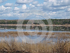 Spring. High water. Ice drift on Siberian river Yenisei. April.