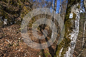 Spring hike in the Danube Valley near Sigmaringen