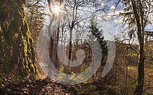 Spring hike in the Danube Valley near Sigmaringen