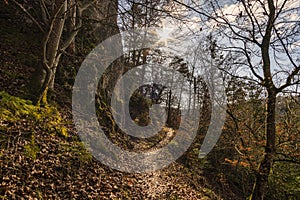 Spring hike in the Danube Valley near Sigmaringen