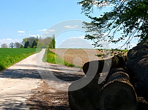 Spring hike between the fields