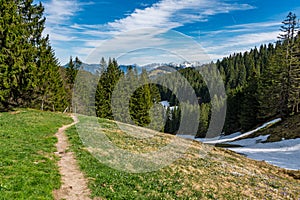 Spring hike to the Immenstadter and Gschwender Horn near Immenstadt in the Allgau