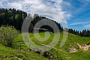 Spring hike to the Immenstadter and Gschwender Horn near Immenstadt in the Allgau