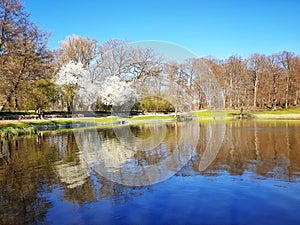 Spring in HillerÃÂ¸d, Denmark