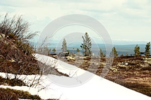 Spring on the hills of Lapland