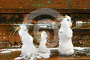 Spring history of the snowman family