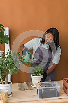 Spring hobby diversity african american woman watering plant flower pot houseplant with dirt or soil at home. Gardening