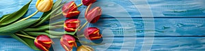 Spring Holiday background. Colorful tulips on a blue wooden background, top view. Greeting card with space