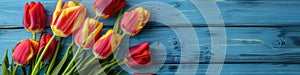 Spring Holiday background. Colorful tulips on a blue wooden background, top view. Greeting card with space