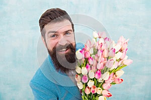 Spring holiday. Man bearded suit bow tie hold tulip flowers bouquet. Gentleman romantic surprise for her. Flowers