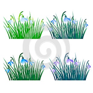 Green grass with flowers