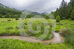 Spring of Hron, Horehronie, Low Tatras, Slovakia photo