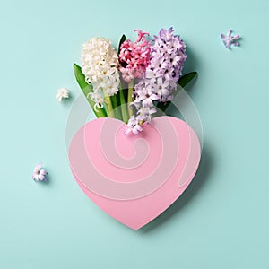 Spring hyacinth flowers and pink paper heart on blue punchy pastel background. Square crop. Spring, summer or garden concept.