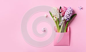 Spring hyacinth flowers in pink postal envelope over punchy pastel background with copy space. Top view, flat lay. Banner. Spring