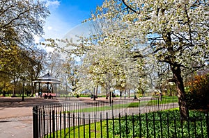 Spring in Hyde park, London, UK