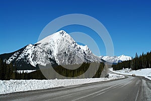 Spring icefield parkway photo