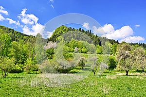 Spring idyllic mountains landscape