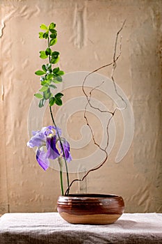 Spring ikebana with irises flowers