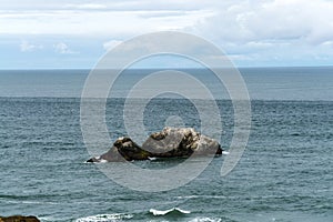 Spring Impressions from the Lands End in Golden Gate Recreation Area in San Francisco