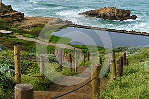 Spring Impressions from the Lands End in Golden Gate Recreation Area in San Francisco