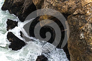 Spring Impressions from the Lands End in Golden Gate Recreation Area in San Francisco