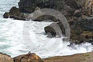 Spring Impressions from the Lands End in Golden Gate Recreation Area in San Francisco