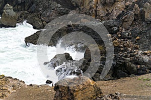 Spring Impressions from the Lands End in Golden Gate Recreation Area in San Francisco